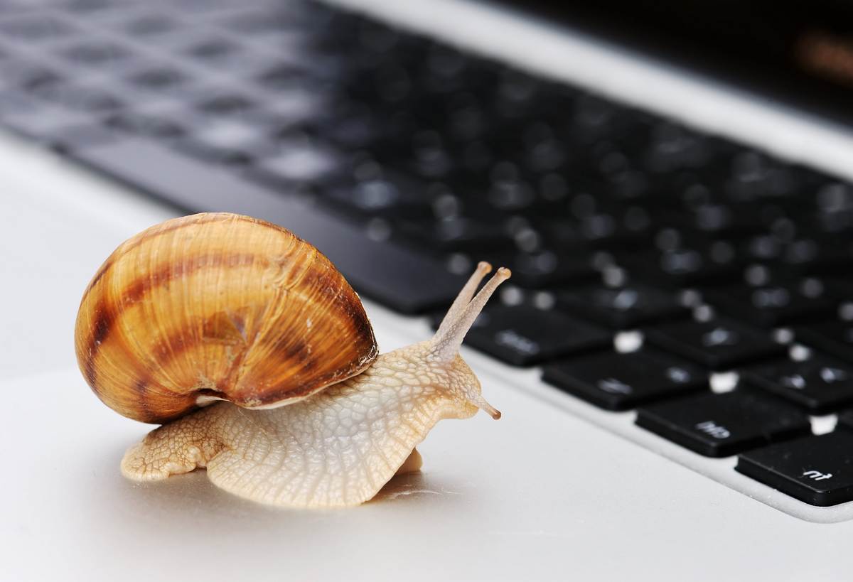 Keep Your Website from Becoming Slow